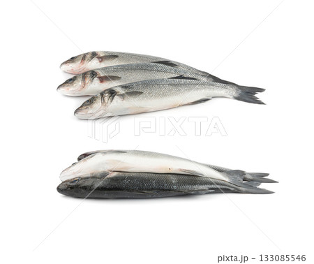 European seabass or Dicentrarchus labrax, whole raw labrax, branzino fish, European bass 133085546