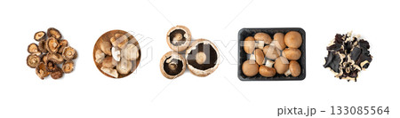 Assorted color mushrooms isolated. Different edible fungus set, portobello, shiitake 133085564