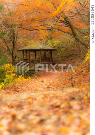 東屋と紅葉の小径 133085645