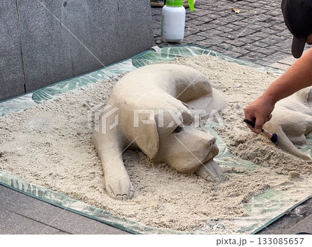 Sand sculpture of dog created by street artist. Art performance, creativity, and craftsmanship expression in urban environment. 133085657