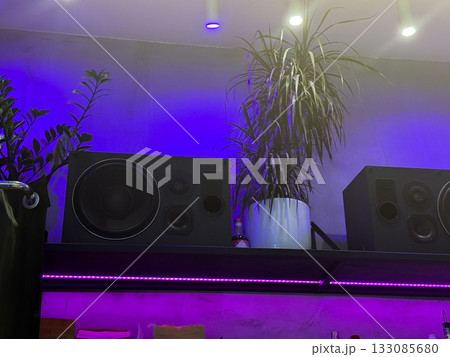 Black speaker on shelf with plants and purple neon light. Modern interior, music atmosphere, and creative space design with color contrast. Black speaker on shelf with plants and purple neon light. Modern interior, music atmosphere, and creative space design with color contrast. 133085680