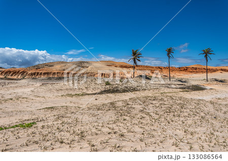 The rock formations at Canoa Quebrada Beach at Canoa Quebrada, state of Ceara, Brazil 133086564