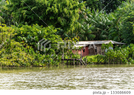 River boat tour on the Guama River at Belem do Para, a city on the north area of Brazil. 133086609
