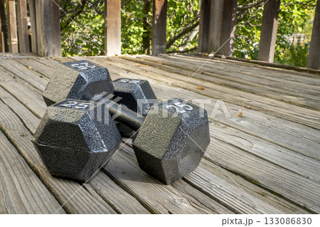 a pair of heavy cast iron hex  dumbbells on a grained barn wood background, fitness concept 133086830