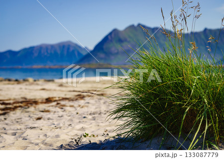 Seascape in Gimsoysand, Lofoten islands, Norway 133087779