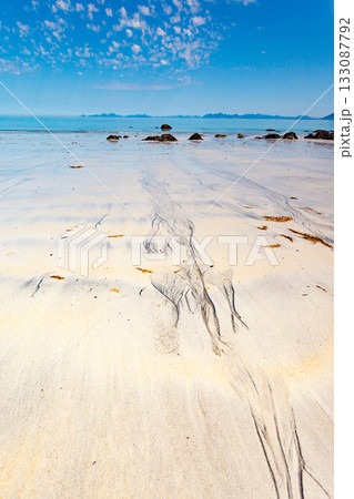 Sea coast with sandy beach,Lofoten Norway 133087792