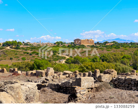 Selinunte site with ancient greek ruins, Sicily Selinunte site with ancient greek ruins, Sicily 133088259