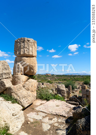 Selinunte site with ancient greek ruins, Sicily Selinunte site with ancient greek ruins, Sicily 133088263