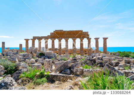 Selinunte site with ancient greek ruins, Sicily Selinunte site with ancient greek ruins, Sicily 133088264