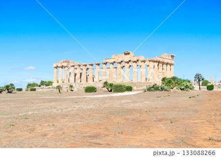 Selinunte site with ancient greek ruins, Sicily Selinunte site with ancient greek ruins, Sicily 133088266