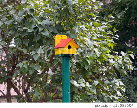 Bright yellow birdhouse with red roof on a green post among lush foliage. Harmony of color, simplicity, and connection between human creativity and nature. 133088504