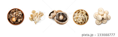 Assorted color mushrooms isolated. Different edible fungus set, portobello, shiitake 133088777