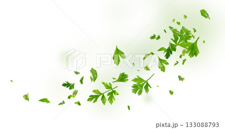 Chopped Parsley Leaves Isolated 133088793