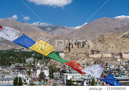 View of Leh City in Ladakh, India 133089048