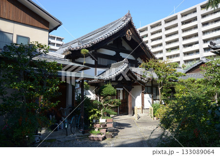 善導寺 本堂 京都市中京区東生洲町 善導寺 本堂 京都市中京区東生洲町 133089064