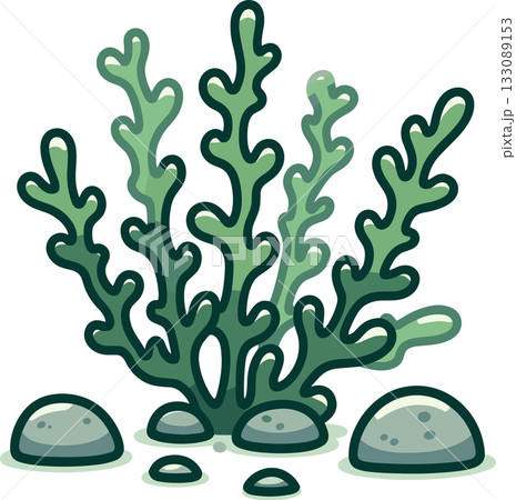 海底のワカメのイラスト 133089153
