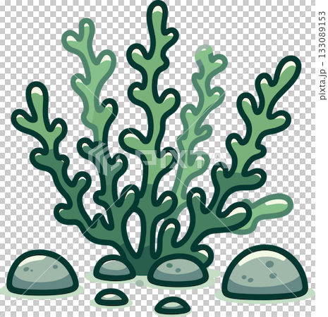 海底のワカメのイラスト 133089153