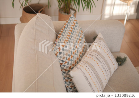 Comfortable living room with decorative cushions and plants Comfortable living room with decorative cushions and plants 133089216