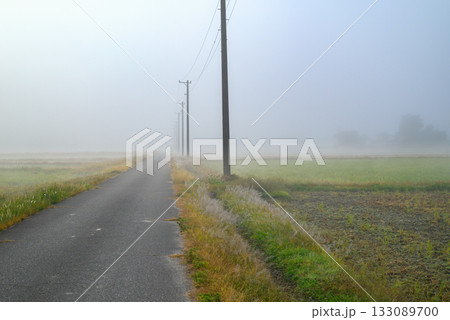 濃霧が立ち込める朝【北安曇郡池田町】 133089700