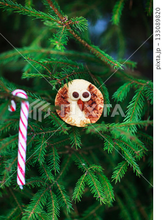 Cute Shortbread Owl cookies for Christmas on outdoor fir-tree background Cute Shortbread Owl cookies for Christmas on outdoor fir-tree background 133089820