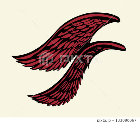 Vector drawing. Two large wings. 133090067
