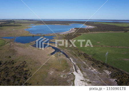 Calden forest and lagoon landscape, Prosopis Caldenia plants, La Pampa province, Patagonia, Argentina. 133090178