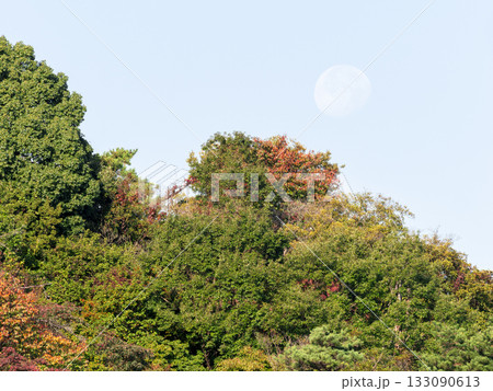朝の月と秋の山 133090613