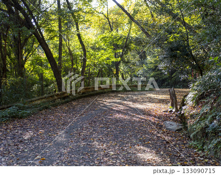 落ち葉が堆積した秋の山道 133090715
