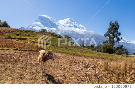 Aerial view of the Nevado de Huascaran in the Ancash region. 133090975