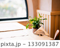 Green plant and napkin on table in sunlit cafe interior 133091387