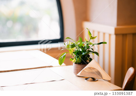 Green plant and napkin on table in sunlit cafe interior 133091387