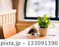 Plant in pot on wooden table near window 133091390