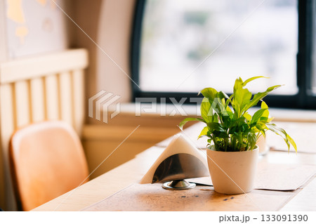 Plant in pot on wooden table near window Plant in pot on wooden table near window 133091390
