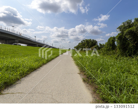 猪名川河川敷の道路 133091512
