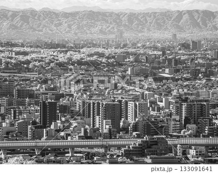 【赤外線写真】山から見る都市の景観 133091641