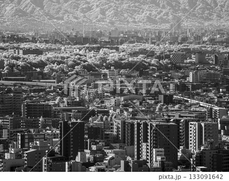 【赤外線写真】山から見る都市の景観 【赤外線写真】山から見る都市の景観 133091642