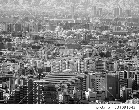 【赤外線写真】山から見る都市の景観 【赤外線写真】山から見る都市の景観 133091643