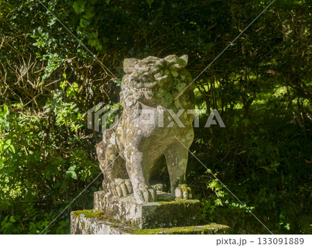 猪名川町　春日神社の狛犬 133091889