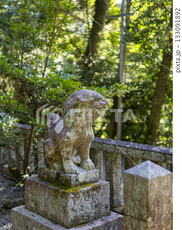 猪名川町 春日神社の狛犬 猪名川町 春日神社の狛犬 133091892