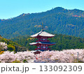 桜咲く山にある三重塔 133092309