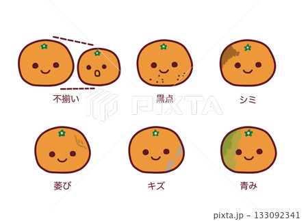 規格外のみかんの解説イラストセット 規格外のみかんの解説イラストセット 133092341