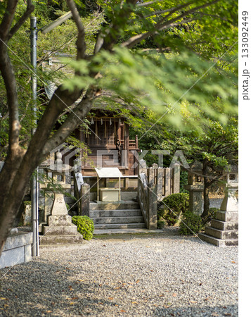 神社の青紅葉と社 神社の青紅葉と社 133092449