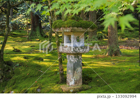紅葉見頃な那谷寺 紅葉見頃な那谷寺 133092994