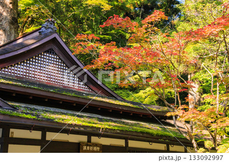 紅葉見頃な那谷寺 紅葉見頃な那谷寺 133092997