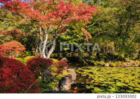 紅葉見頃な那谷寺 133093002