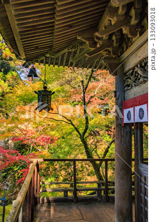 紅葉見頃な那谷寺 紅葉見頃な那谷寺 133093018