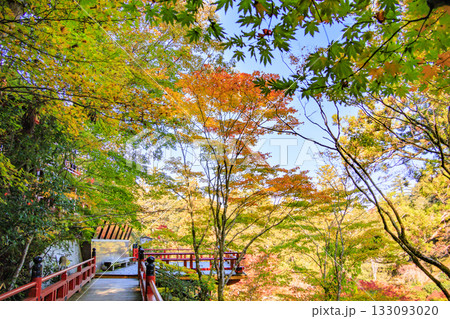 紅葉見頃な那谷寺 紅葉見頃な那谷寺 133093020