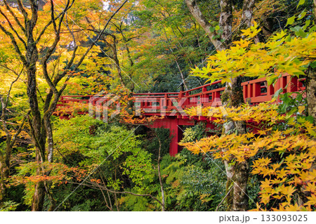 紅葉見頃な那谷寺 133093025