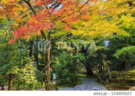 紅葉見頃な那谷寺 紅葉見頃な那谷寺 133093027