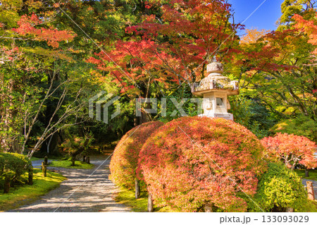 紅葉見頃な那谷寺 133093029